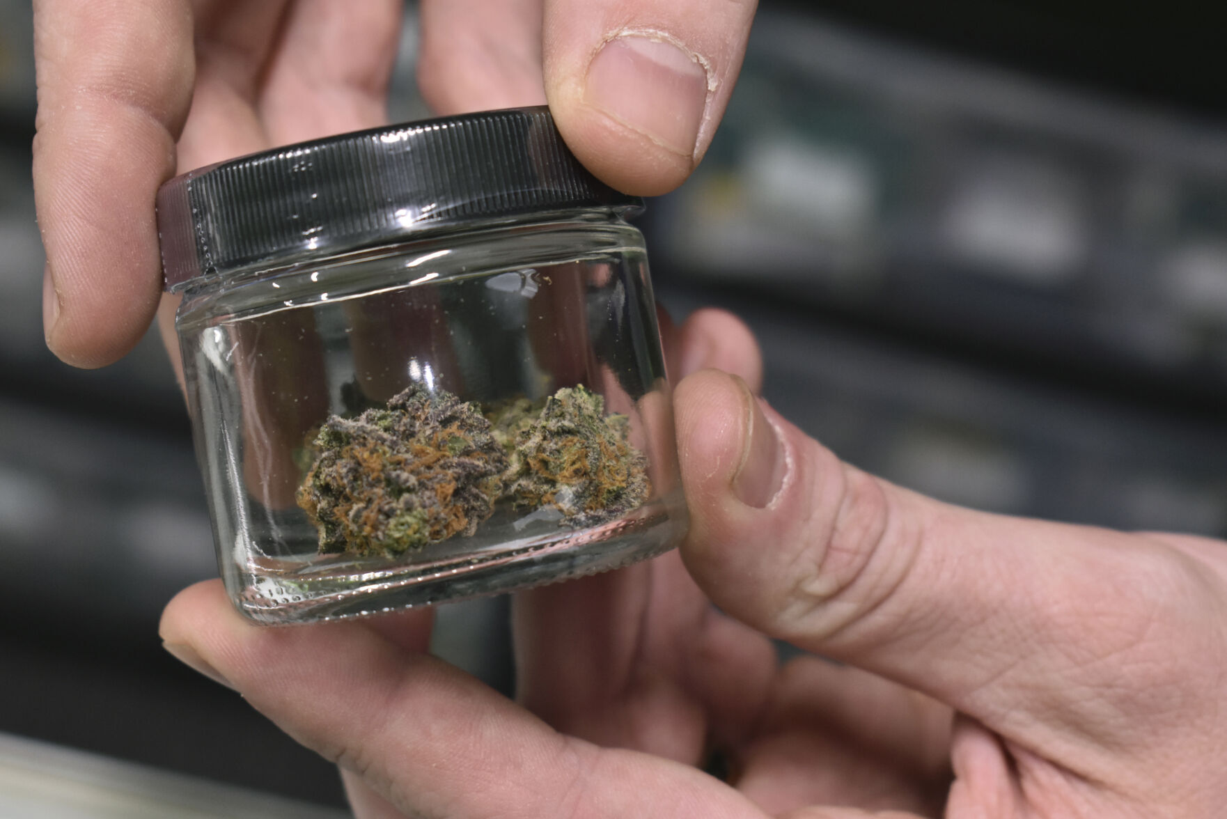 Marijuana Legalization-Montana